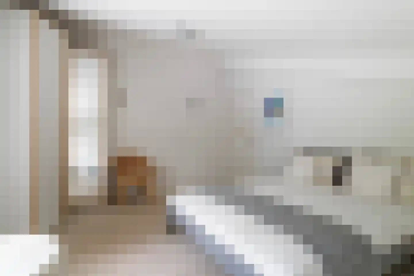 De Kolk 4 Woudsend thumbnail 34