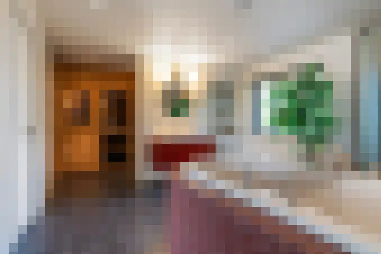 De Kolk 4 Woudsend thumbnail 4