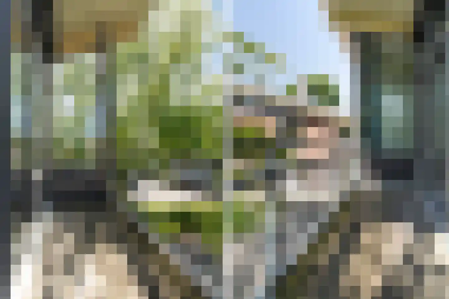 De Kolk 4 Woudsend thumbnail 63