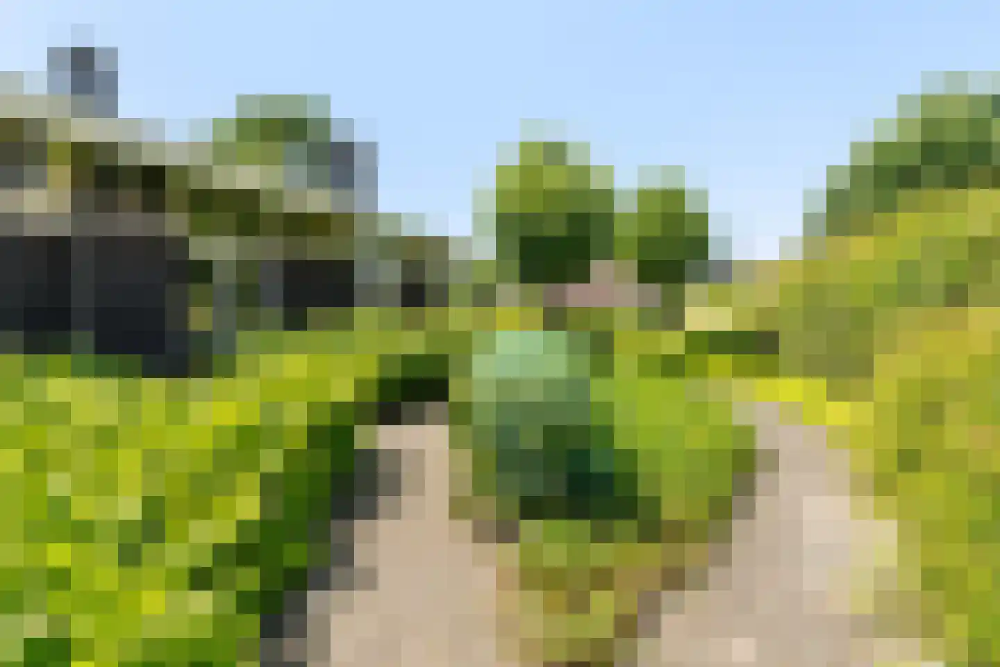 De Kolk 4 Woudsend thumbnail 67