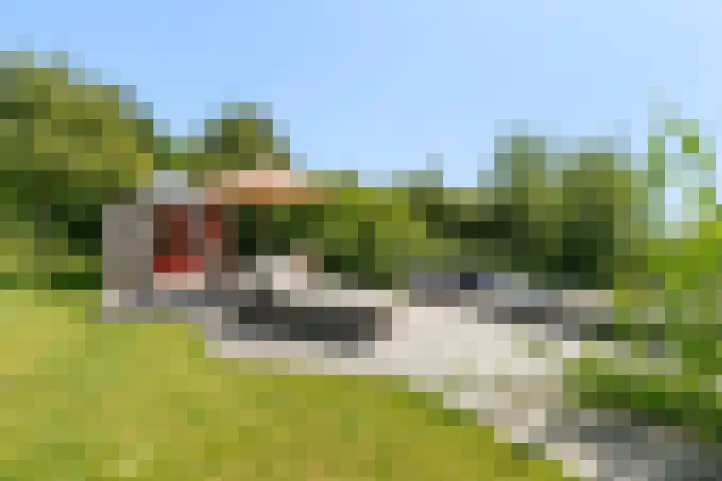 De Kolk 4 Woudsend thumbnail 69