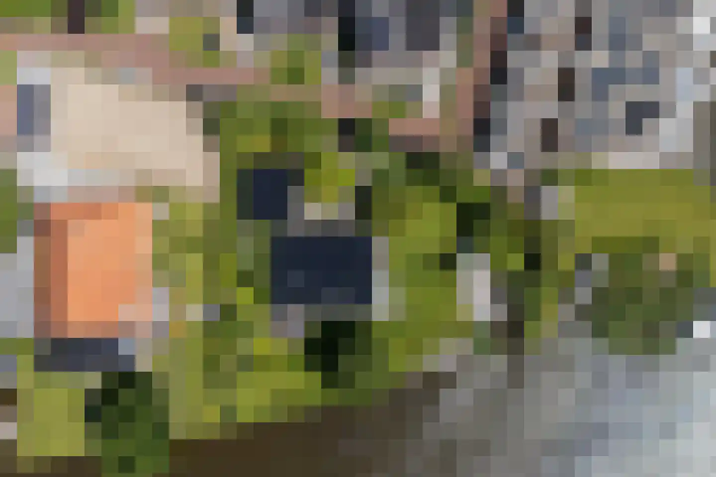 De Kolk 4 Woudsend thumbnail 84