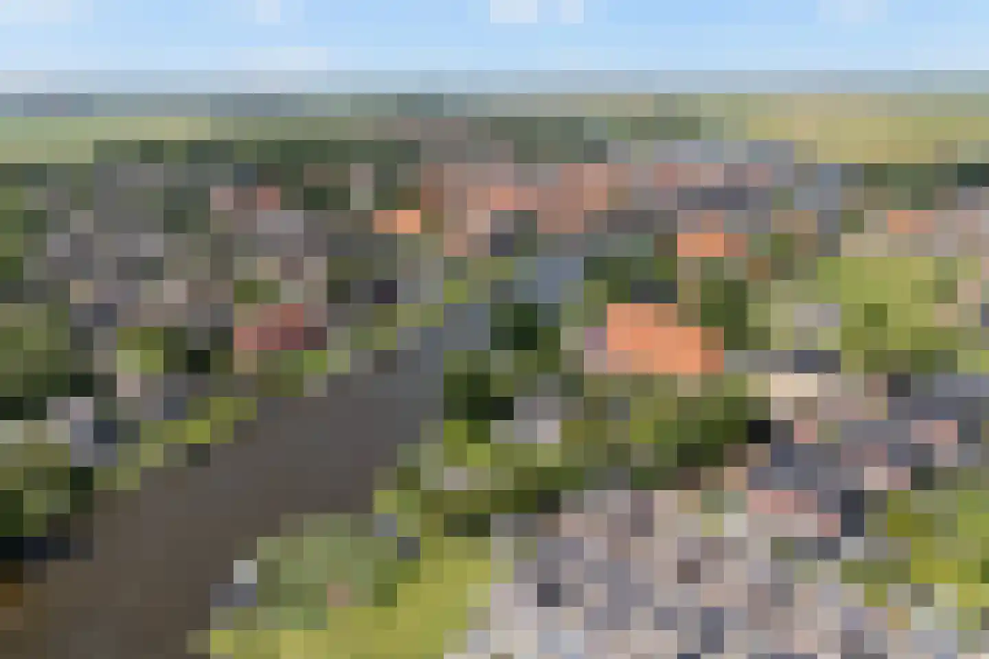 De Kolk 4 Woudsend thumbnail 86