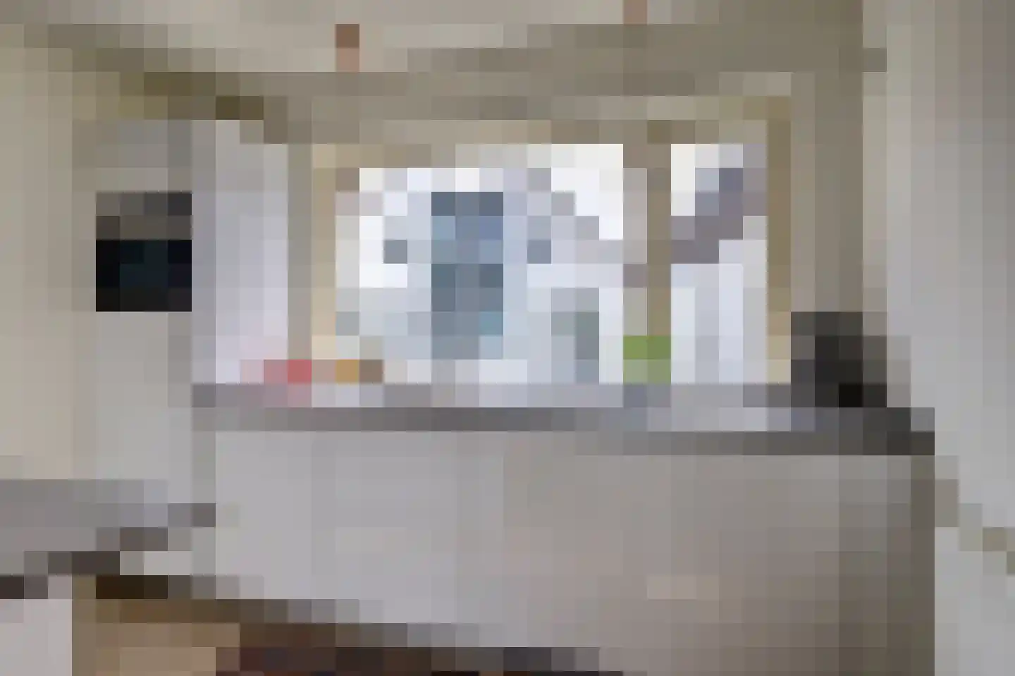 de Kolk 5 Wijk bij Duurstede thumbnail 10