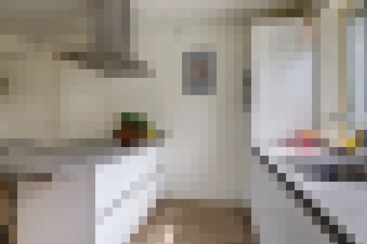 de Kolk 5 Wijk bij Duurstede thumbnail 11