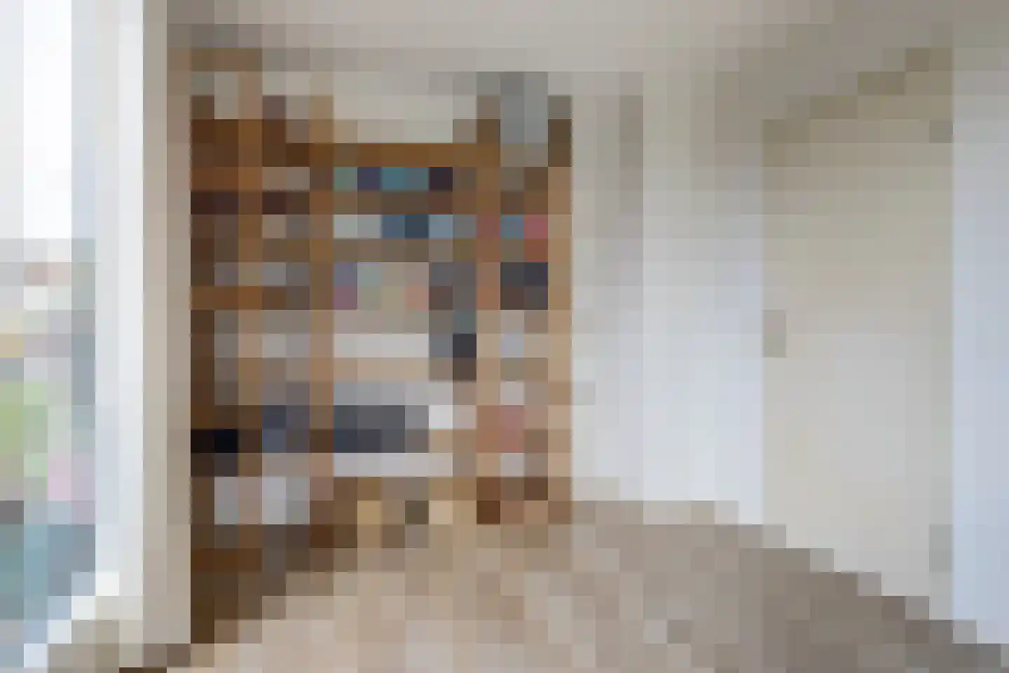 de Kolk 5 Wijk bij Duurstede thumbnail 15
