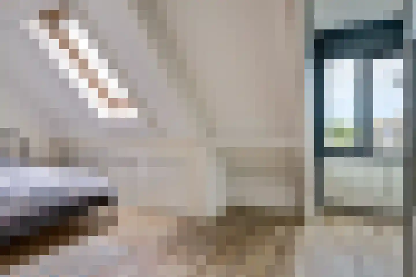 de Kolk 5 Wijk bij Duurstede thumbnail 20