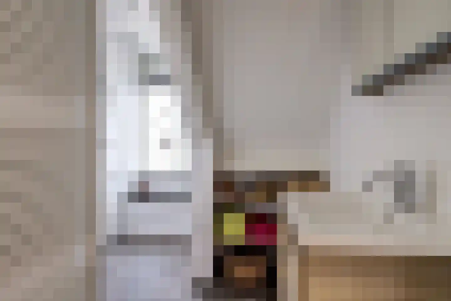 de Kolk 5 Wijk bij Duurstede thumbnail 24