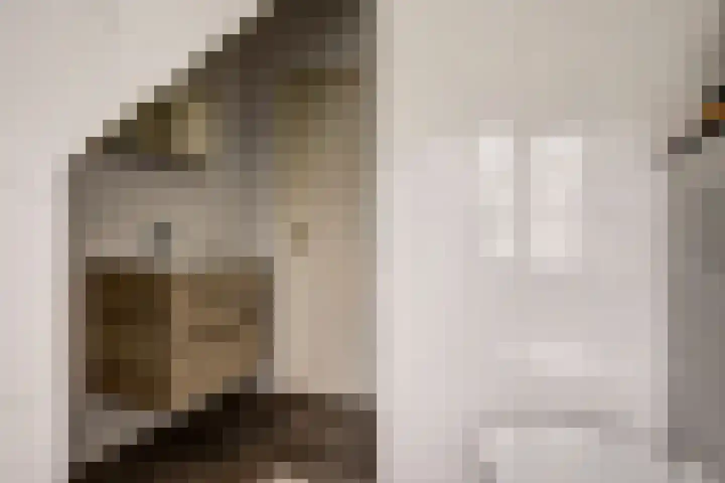 de Kolk 5 Wijk bij Duurstede thumbnail 26