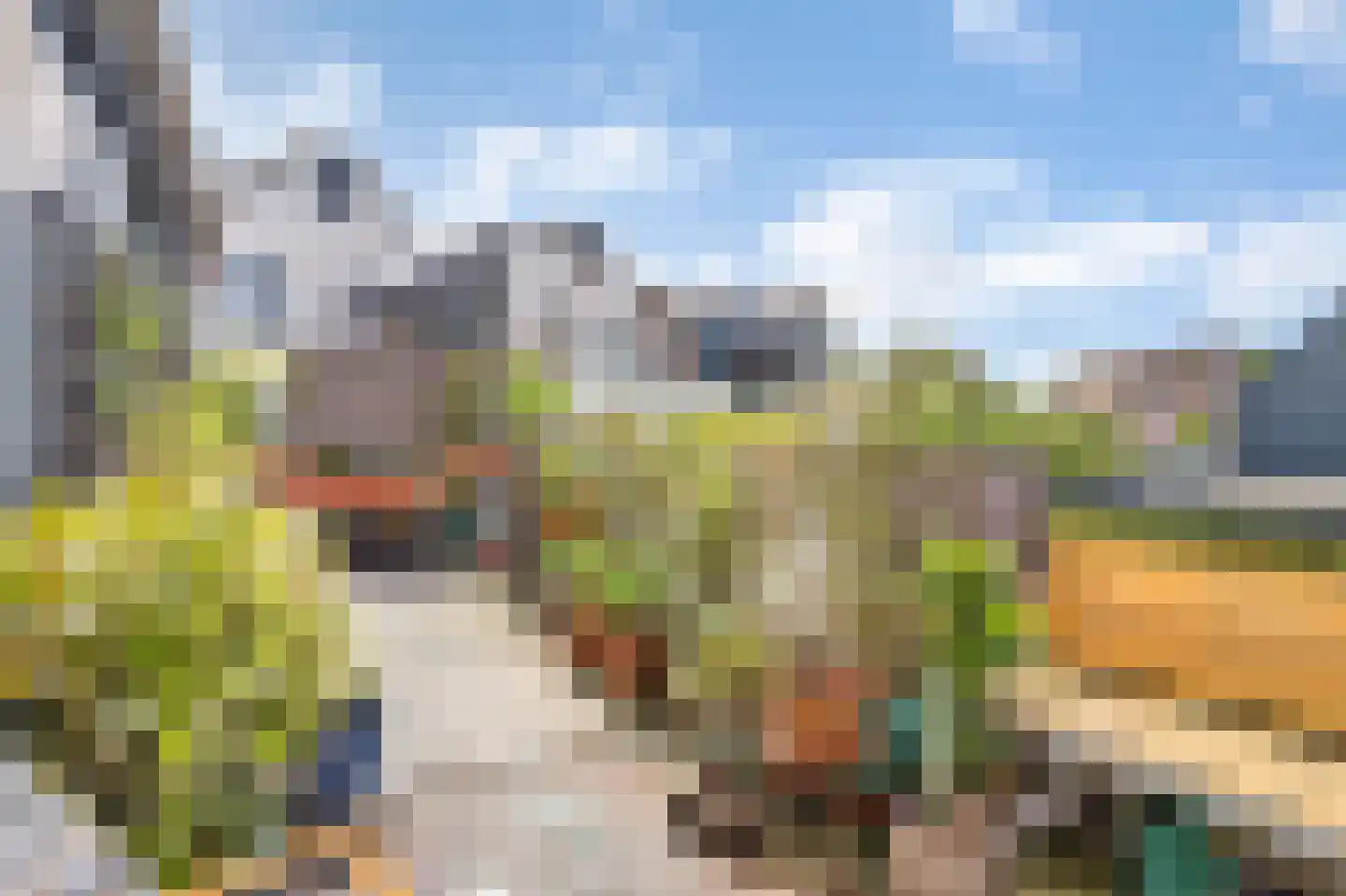 de Kolk 5 Wijk bij Duurstede thumbnail 29