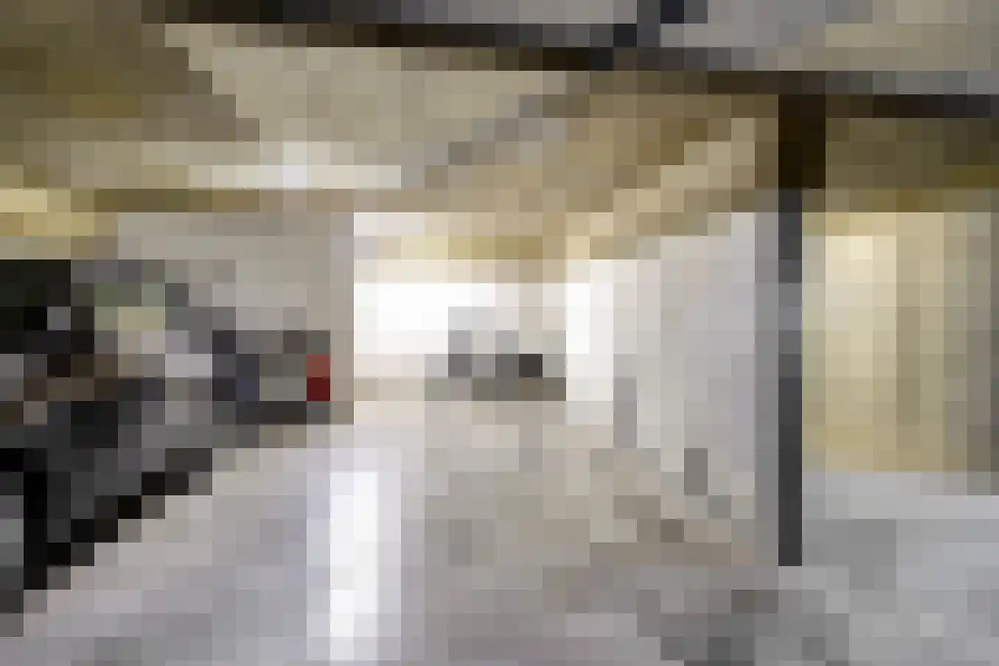 de Kolk 5 Wijk bij Duurstede thumbnail 34