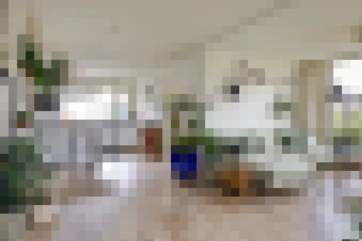 de Kolk 5 Wijk bij Duurstede thumbnail 4