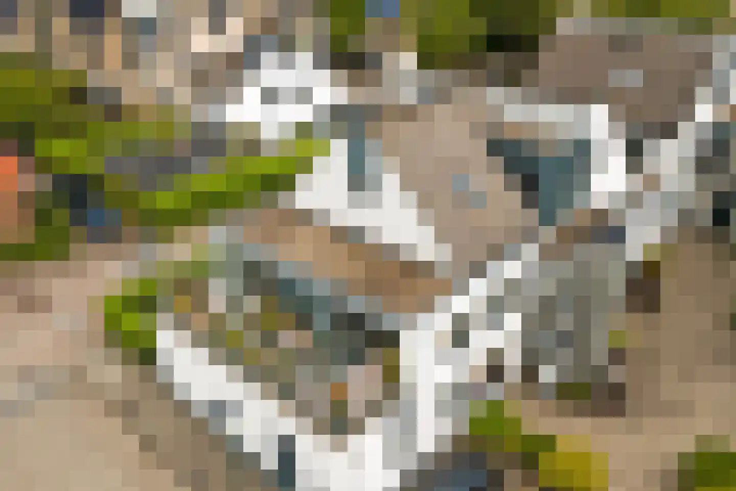 de Kolk 5 Wijk bij Duurstede thumbnail 42