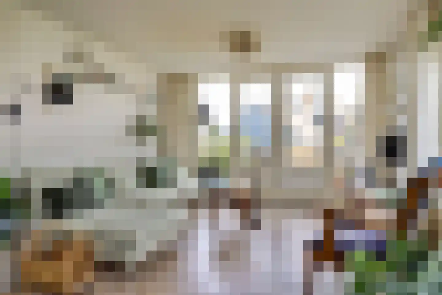 de Kolk 5 Wijk bij Duurstede thumbnail 5