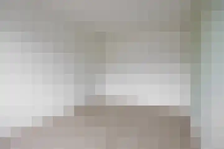 De Kolk 62 Swalmen thumbnail 13