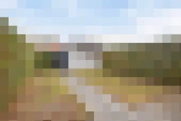 De Kolk 62 Swalmen thumbnail 23