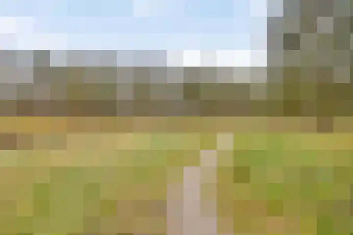 De Kolk 62 Swalmen thumbnail 25