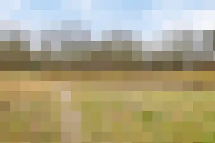 De Kolk 62 Swalmen thumbnail 26