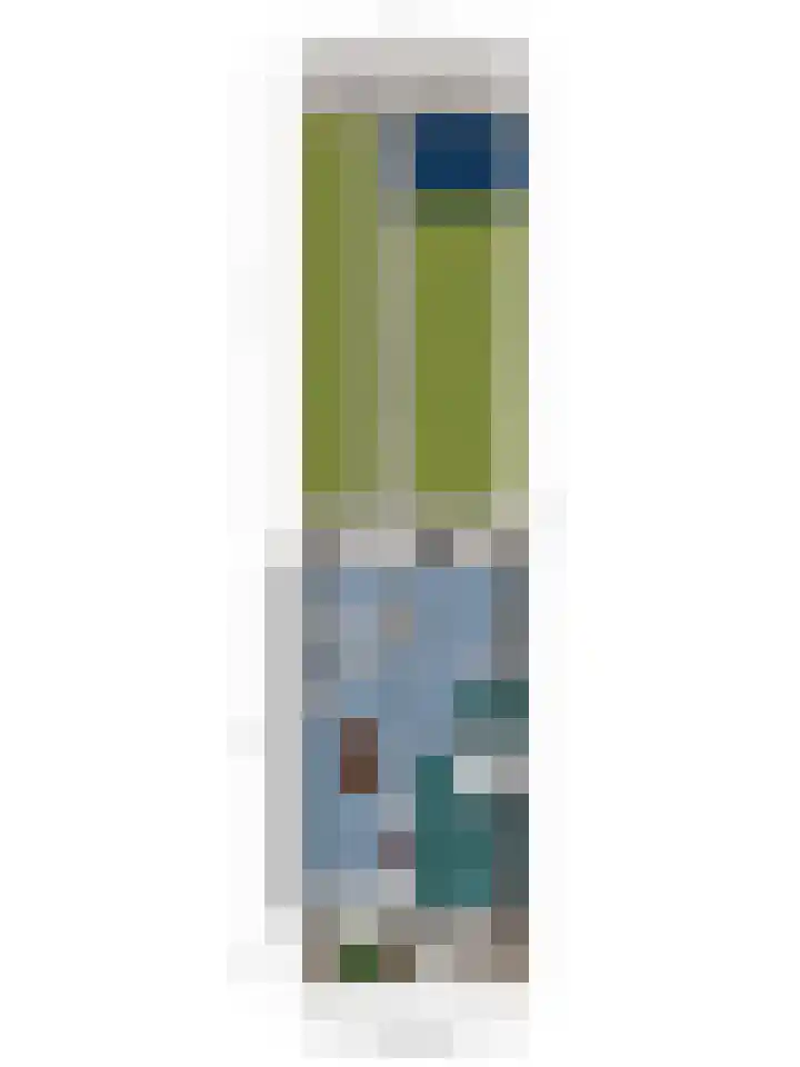 De Kolk 62 Swalmen thumbnail 28