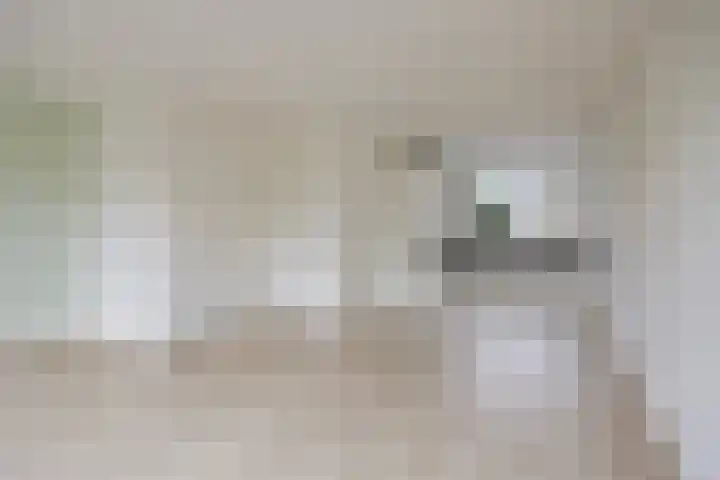 De Kolk 62 Swalmen thumbnail 7