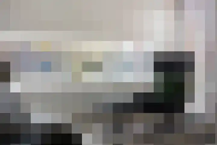 De Kolk 7 Swalmen thumbnail 10