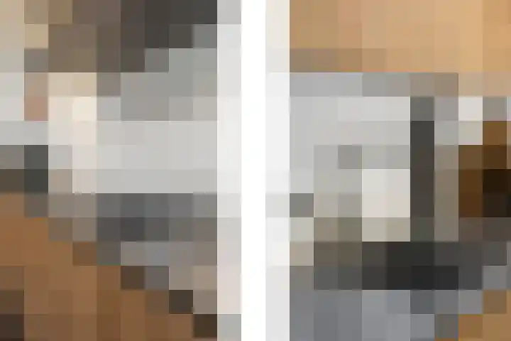De Kolk 7 Swalmen thumbnail 13