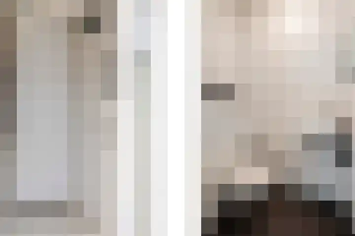 De Kolk 7 Swalmen thumbnail 15