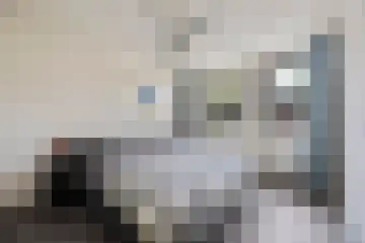 De Kolk 7 Swalmen thumbnail 16