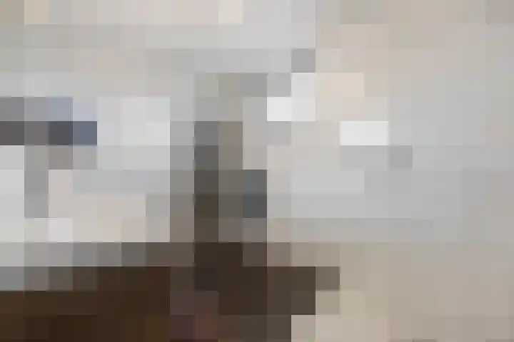 De Kolk 7 Swalmen thumbnail 19