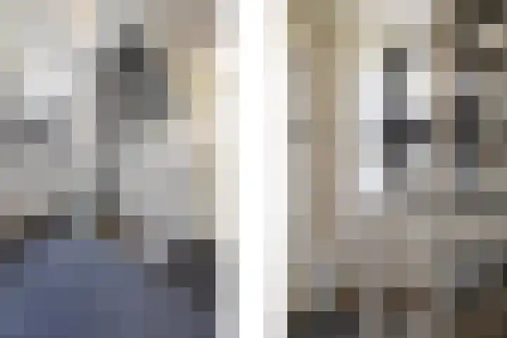 De Kolk 7 Swalmen thumbnail 23