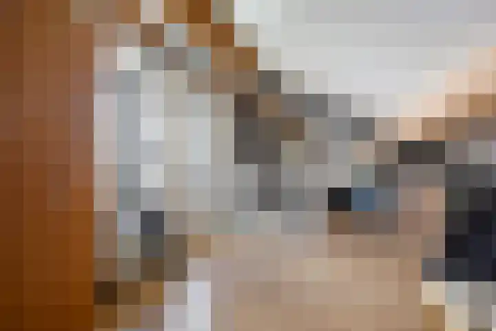 De Kolk 7 Swalmen thumbnail 25