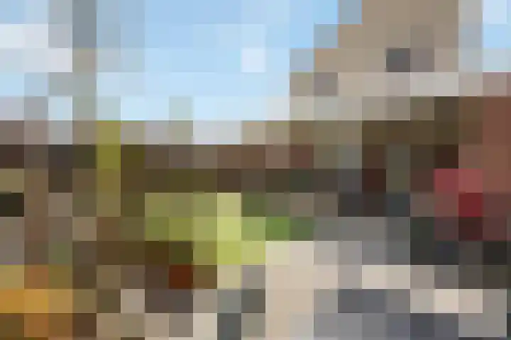 De Kolk 7 Swalmen thumbnail 30