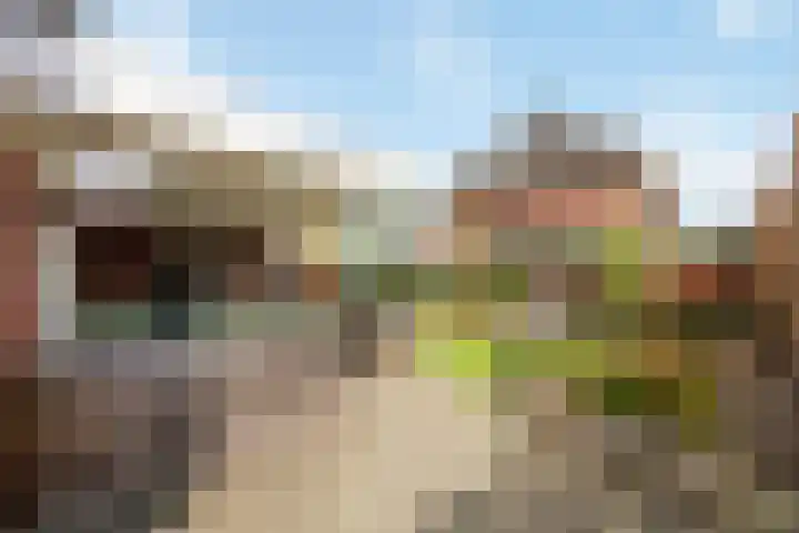 De Kolk 7 Swalmen thumbnail 31