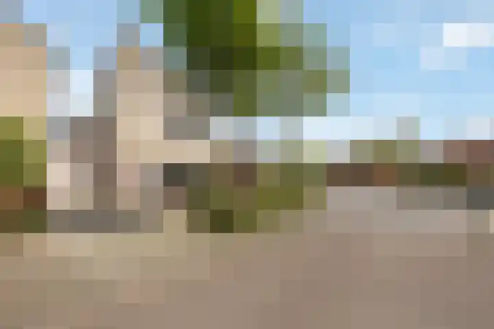 De Kolk 7 Swalmen thumbnail 32