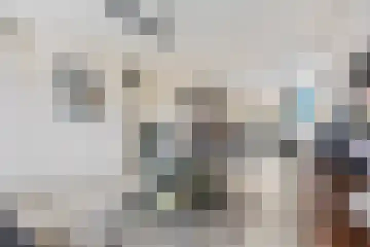 De Kolk 7 Swalmen thumbnail 6