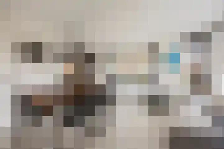 De Kolk 7 Swalmen thumbnail 7