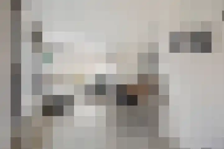 De Kolk 7 Swalmen thumbnail 9