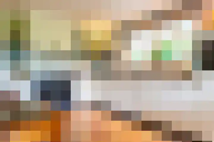 De Kolk 70 Swifterbant thumbnail 13