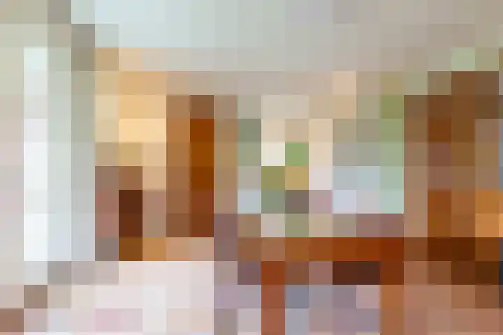 De Kolk 70 Swifterbant thumbnail 15