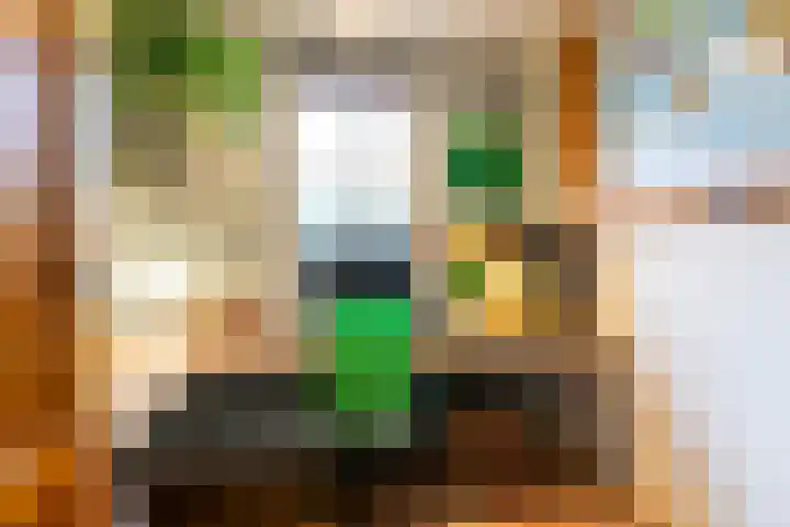 De Kolk 70 Swifterbant thumbnail 16