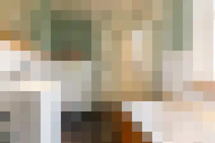 De Kolk 70 Swifterbant thumbnail 22