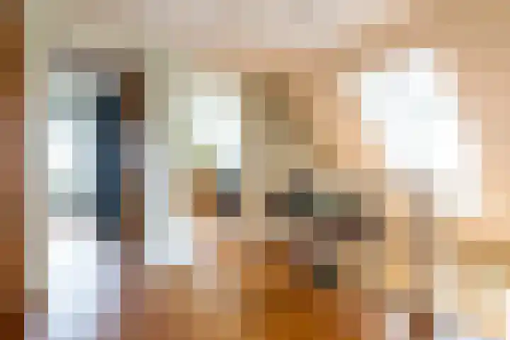 De Kolk 70 Swifterbant thumbnail 24