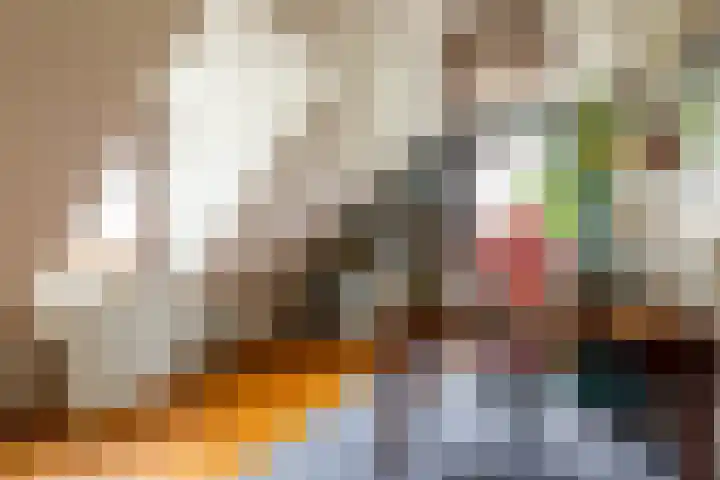 De Kolk 70 Swifterbant thumbnail 28