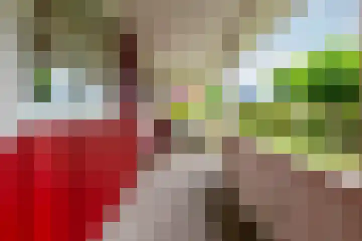 De Kolk 70 Swifterbant thumbnail 31