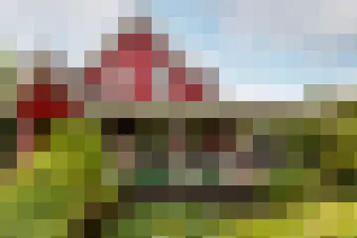 De Kolk 70 Swifterbant thumbnail 32