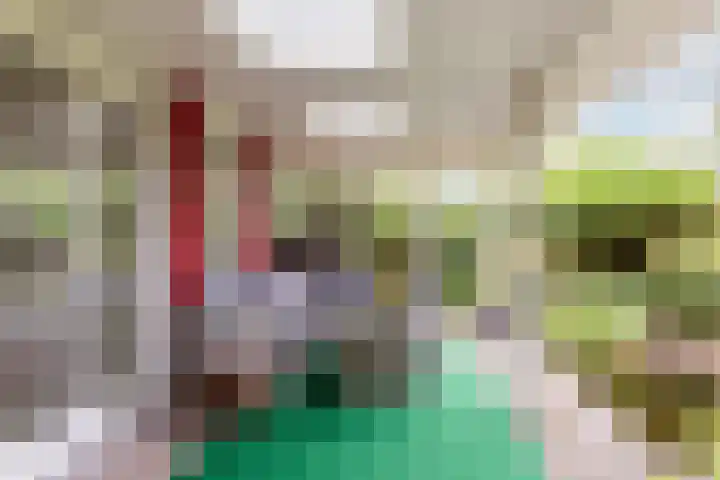 De Kolk 70 Swifterbant thumbnail 33