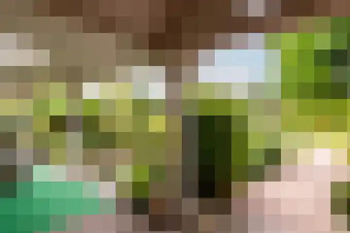 De Kolk 70 Swifterbant thumbnail 34