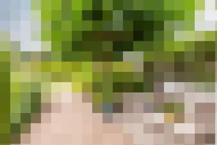 De Kolk 70 Swifterbant thumbnail 35