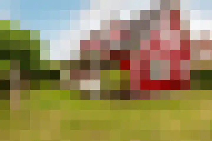 De Kolk 70 Swifterbant thumbnail 36