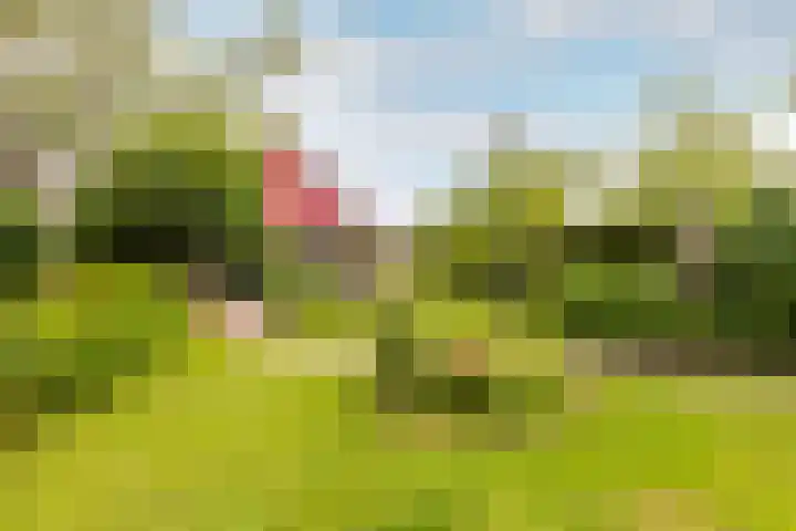 De Kolk 70 Swifterbant thumbnail 37